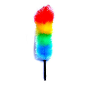 FEATHER BRUSH